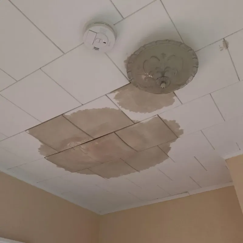 Ceiling Water Damage Repair in Giles County, VA