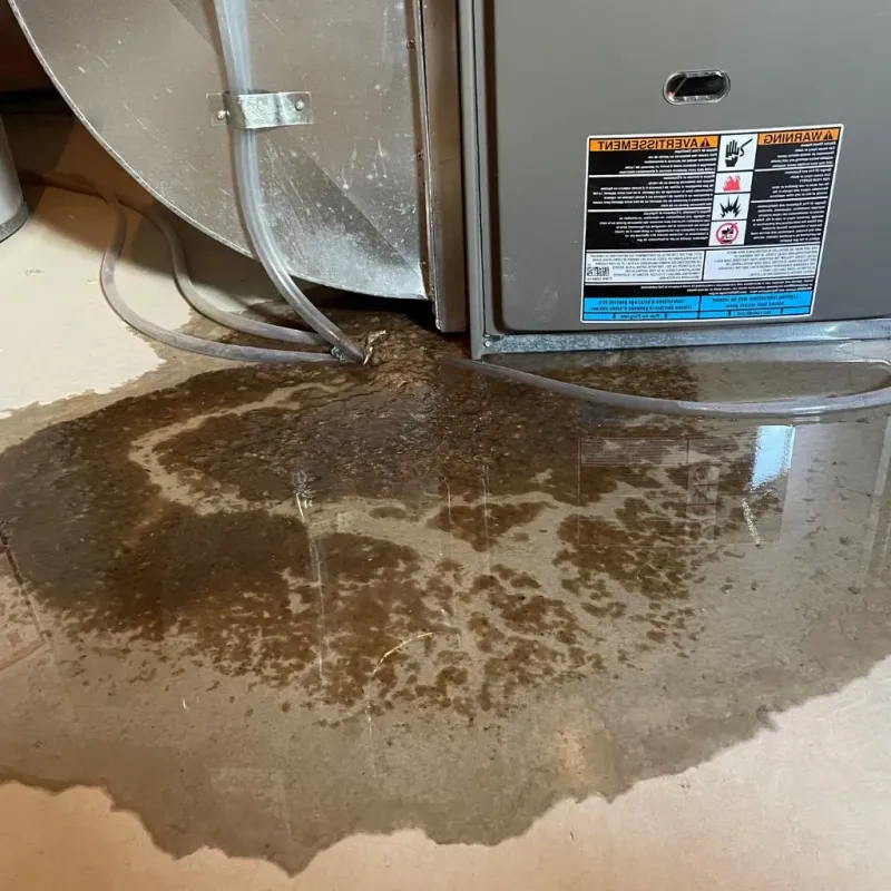 Pipe Burst and Leak Restoration in Giles County, VA