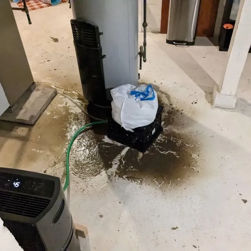Sewage Backup Cleanup Service in Giles County, VA